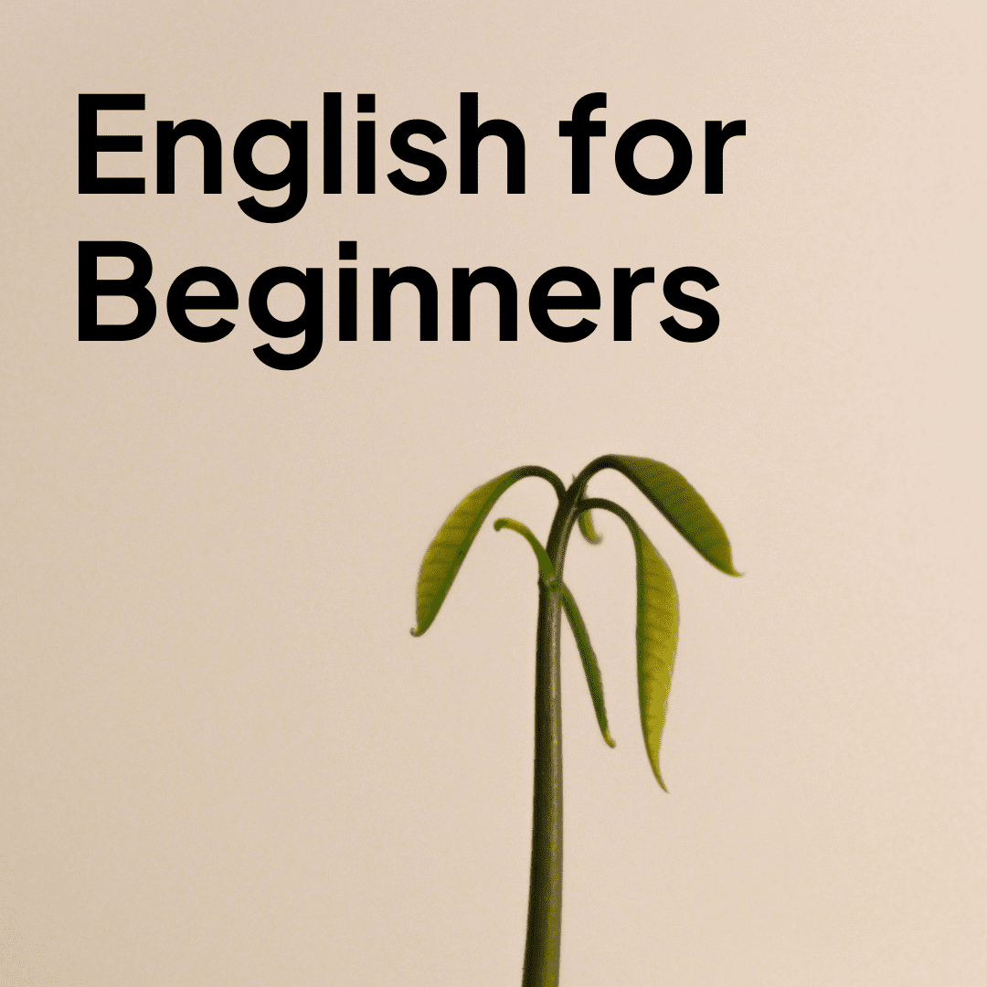 english-for-beginners-englishfest